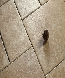 曲边莱姆石80TV06